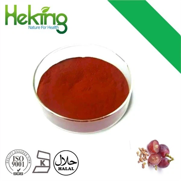 สารสกัดจากเมล็ดองุ่นเป็นอาหารเสริมจากธรรมชาติที่ทรงพลังซึ่งได้รับความนิยมอย่า...